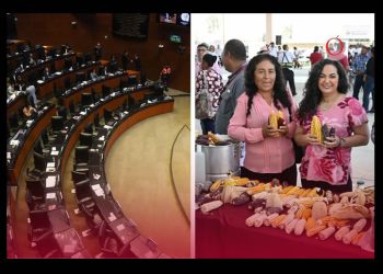 Mujeres del campo tendrán más derechos: aprueban reforma agraria impulsada por Olga Sosa, ¿en qué consiste?