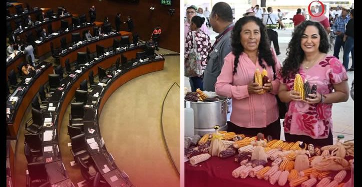 Mujeres del campo tendrán más derechos: aprueban reforma agraria impulsada por Olga Sosa, ¿en qué consiste?