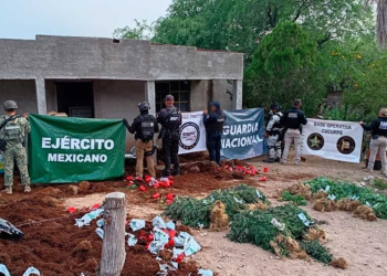 Autoridades de EU entregan a hombre a la Fiscalía de Sonora; está acusado de violencia familiar