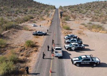 Operativo en Sonora por asesinato de comandante de la AMIC deja 13 detenidos en Ímuris