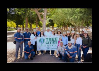 Plantación de más 113 mil árboles ayudan a mejorar el medio ambiente: Toño Astiazarán