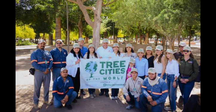 Plantación de más 113 mil árboles ayudan a mejorar el medio ambiente: Toño Astiazarán