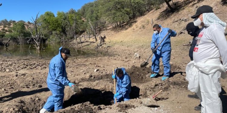 Harán tercera búsqueda por Nancy Guthrie en Nogales