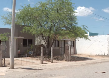 El Pueblo Tohono O’odham Demanda a Trump por Intentar Construir Muro Fronterizo en su Territorio