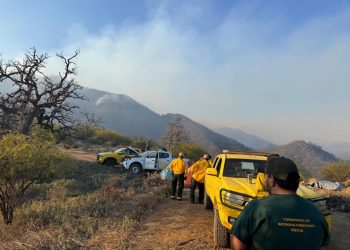 Combaten incendio forestal en sierra de Tarachi