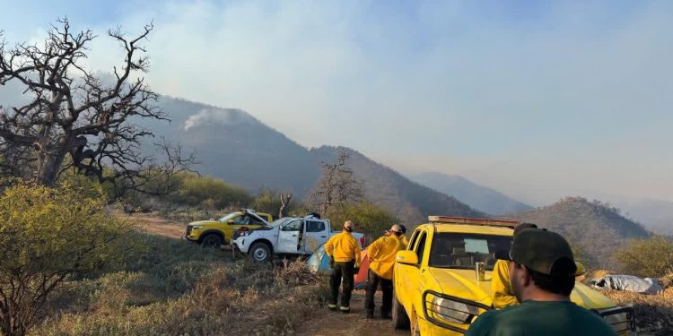 Combaten incendio forestal en sierra de Tarachi