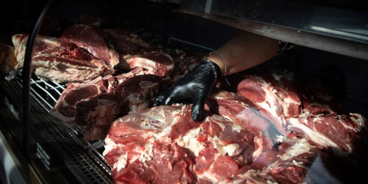 El gusano barrenador reaparece en Texas y empuja al límite a la ganadería, agravando la crisis de la carne vacuna en Estados Unidos