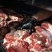 El gusano barrenador reaparece en Texas y empuja al límite a la ganadería, agravando la crisis de la carne vacuna en Estados Unidos