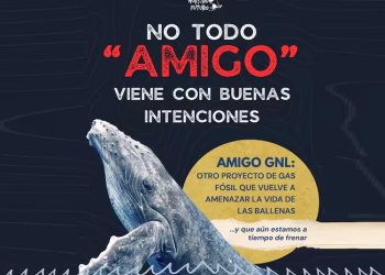 Juzgados de Sonora dan suspensión a autorización de impacto ambiental de AMIGO GNL hasta que se resuelva juicio por falta de acceso a información y participación ciudadana