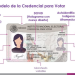 INE presenta nuevo modelo de Credencial para Votar; cuenta con 25 elementos de seguridad