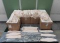 Decomisan 246 buches de Totoaba en Hong Kong procedentes de México
