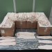 Decomisan 246 buches de Totoaba en Hong Kong procedentes de México