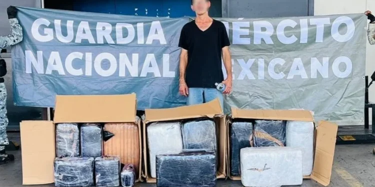 Aseguran paquetes de mariguana en retén militar de Sonora