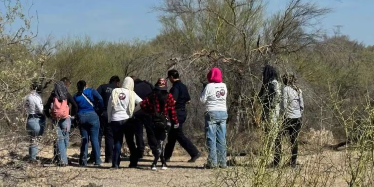 Colectivo localiza pasaportes de Bangladesh y Nepal en Hermosillo; pide ayuda para identificar a propietarios