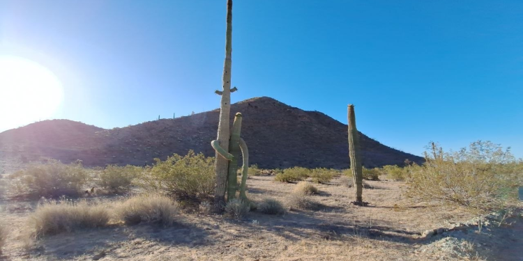 Incumple el gobierno federal compromiso de reparar daños ocasionados por la minería y un parque fotovoltaico al ejido El Bajío, en Sonora