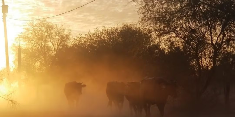 Fenómeno de “El Niño” provocará un verano de calor extremo en México; prevén pérdidas de cosechas por sequías