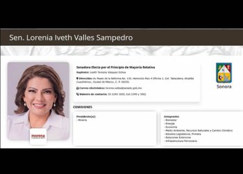 Aprueban licencia a Lorenia Valles para dejar el cargo de Senadora