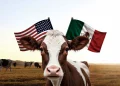 Ganaderos de EEUU Acusan que México se Beneficia del Cierre Fronterizo por el Gusano Barrenador