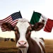 Ganaderos de EEUU Acusan que México se Beneficia del Cierre Fronterizo por el Gusano Barrenador