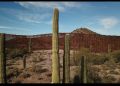 El Pinacate y Gran Desierto de Altar van a la Lista de Patrimonio Mundial en Peligro