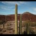 El Pinacate y Gran Desierto de Altar van a la Lista de Patrimonio Mundial en Peligro