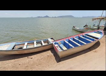 Vigente, pero bajo supervisión, proyecto de planta de amoniaco en la Bahía de Ohuira: Semarnat