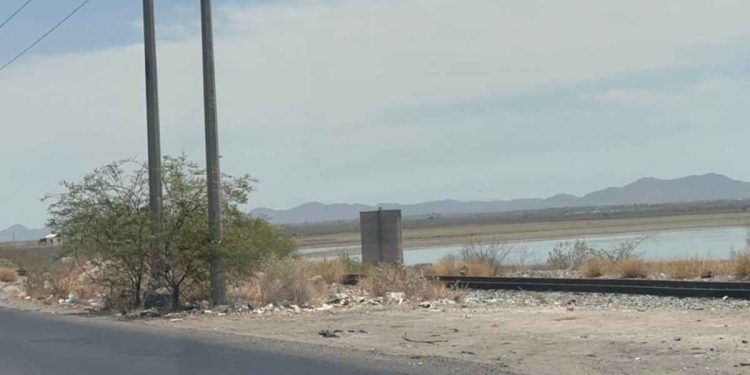 El Pueblo Tohono O’odham Demanda a Trump por Intentar Construir Muro Fronterizo en su Territorio