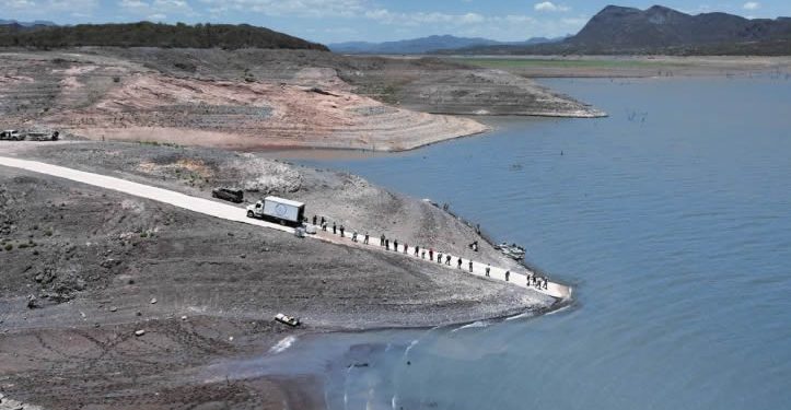 Sonora siembra más de 2.3 millones de crías de tilapia en embalses locales