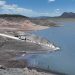 Sonora siembra más de 2.3 millones de crías de tilapia en embalses locales