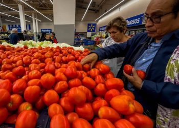 Precio del jitomate ya bajó a 48 pesos gracias al acuerdo para evitar intermediarios: Sheinbaum