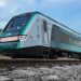 Profepa extiende hasta 5 años expedientes contra el Tren Maya