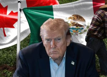 EU propone aranceles de al menos 10% a México y Canadá tras investigación por trabajos forzados