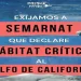 Solicitan declarar el Golfo de California como Hábitat Crítico
