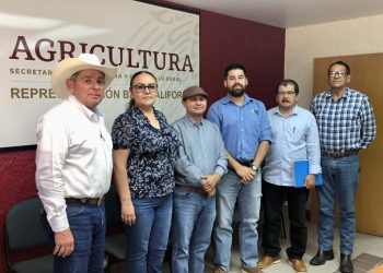 Logran acciones coordinadas reducir los niveles de infestación de la Mosca Blanca en el Valle de Mexicali y San Luis Río Colorado, Sonora
