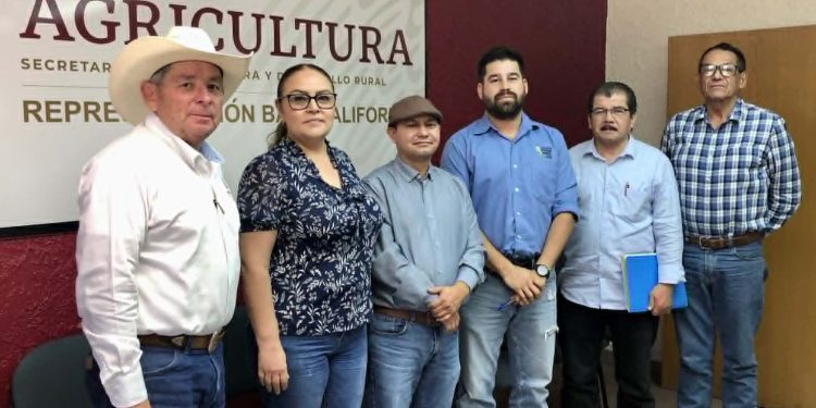 Logran acciones coordinadas reducir los niveles de infestación de la Mosca Blanca en el Valle de Mexicali y San Luis Río Colorado, Sonora