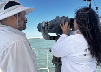 Día Mundial de la Vaquita Marina; participación comunitaria clave en su conservación