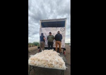 Aseguran 200 kilos de metanfetamina en carretera de Sonora