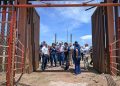 Confirman apertura de exportación de ganado por Sonora y Chihuahua