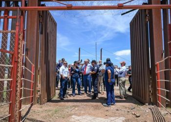 Confirman apertura de exportación de ganado por Sonora y Chihuahua