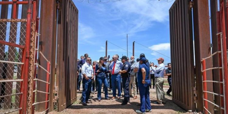 Confirman apertura de exportación de ganado por Sonora y Chihuahua