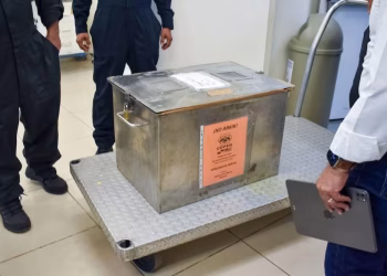 Liberan en Chihuahua primer lote de 2.5 millones de moscas estériles contra gusano barrenador; arranca producción diaria