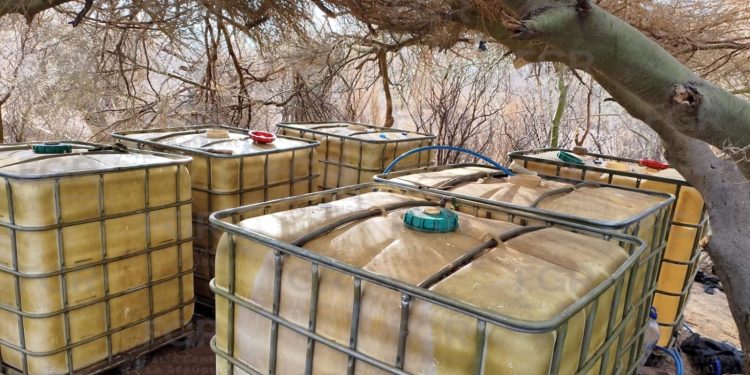 Localiza e inhabilita FGR una toma clandestina de hidrocarburo en trayecto Guaymas-Hermosillo