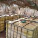 Localiza e inhabilita FGR una toma clandestina de hidrocarburo en trayecto Guaymas-Hermosillo