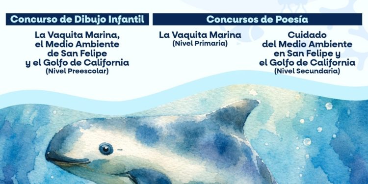Convocan a concurso escolar para el cuidado de la vaquita marina en San Felipe