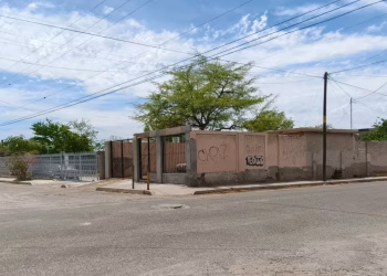 Colectivo de Jóvenes Buscadores Localiza Osamenta en El Choyudo en Hermosillo