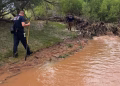 Intensa Lluvia Desborda Canales de Agua en Nogales, Sonora