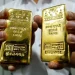 Axo Metals avanza hacia producción: SEMARNAT aprueba MIA para proyecto de oro San Antonio en Sonora