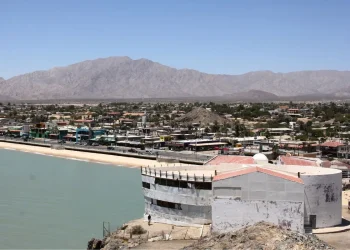 Nuevo polígono para la vaquita marina avanza sin consulta pública ni consenso social