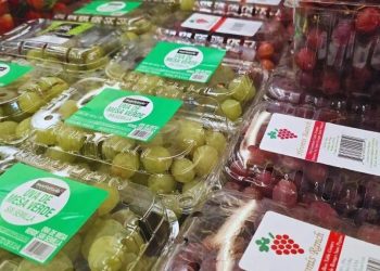 Revisiones de T-MEC generan incertidumbre en Sonora: Fecanaco