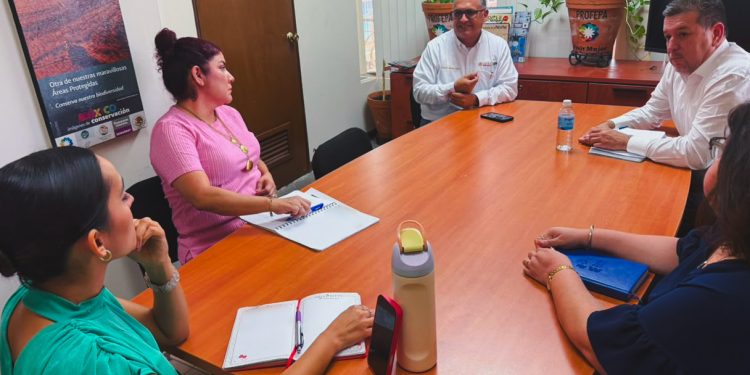 Profepa y CFE fortalecen coordinación para atender proyectos de distribución eléctrica en Sonora
